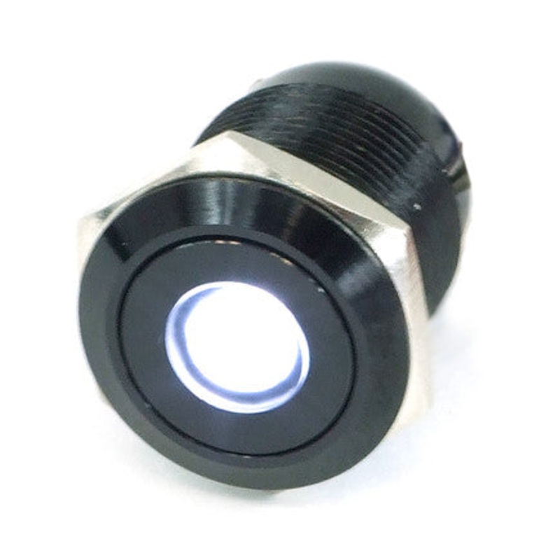 Vandal Resistant Illuminated Momentary Switch – Black – 22/19mm – White Dot