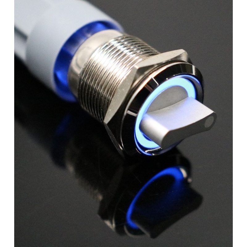 19mm 12V 2 positions Stainless Steel Switch With Illuminated Ring- Blue