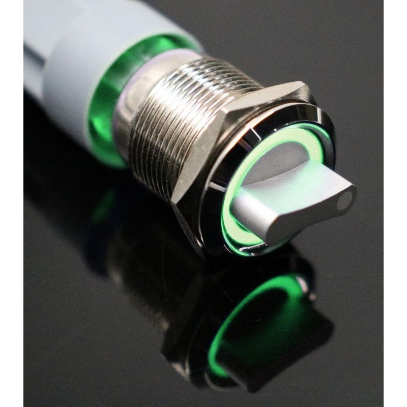 19mm 12V 2 positions Stainless Steel Switch With Illuminated Ring- Green