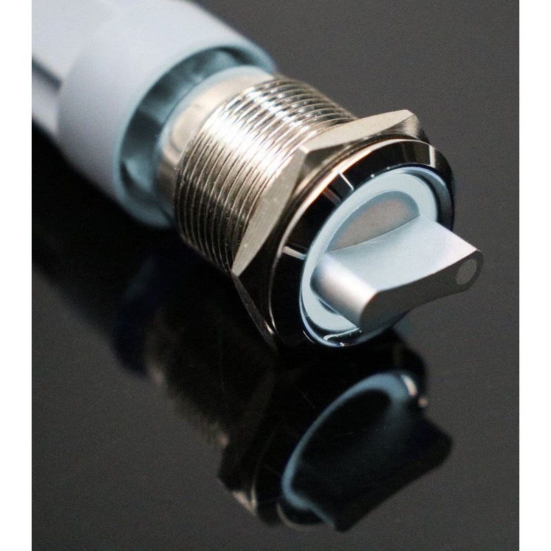 19mm 12V 2 positions Stainless Steel Switch With Illuminated Ring- White