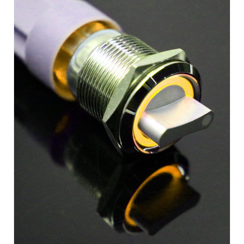 19mm 12V 3 positions Stainless Steel Switch With Illuminated Ring- Orange