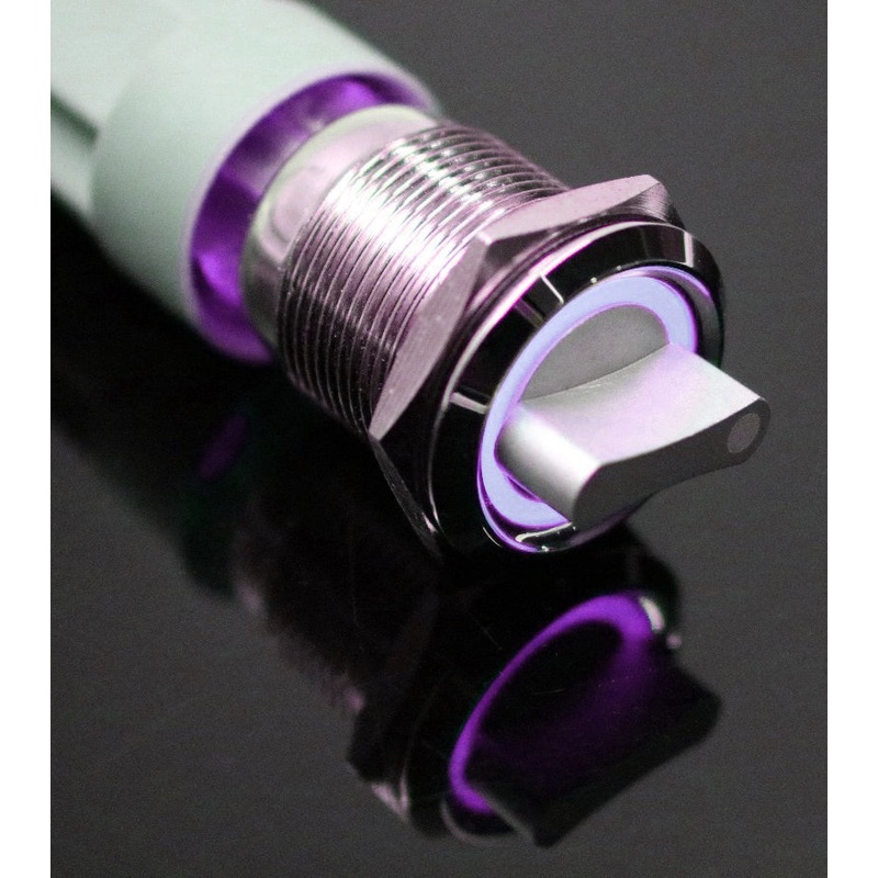 19mm 12V 3 positions Stainless Steel Switch With Illuminated Ring- Purple