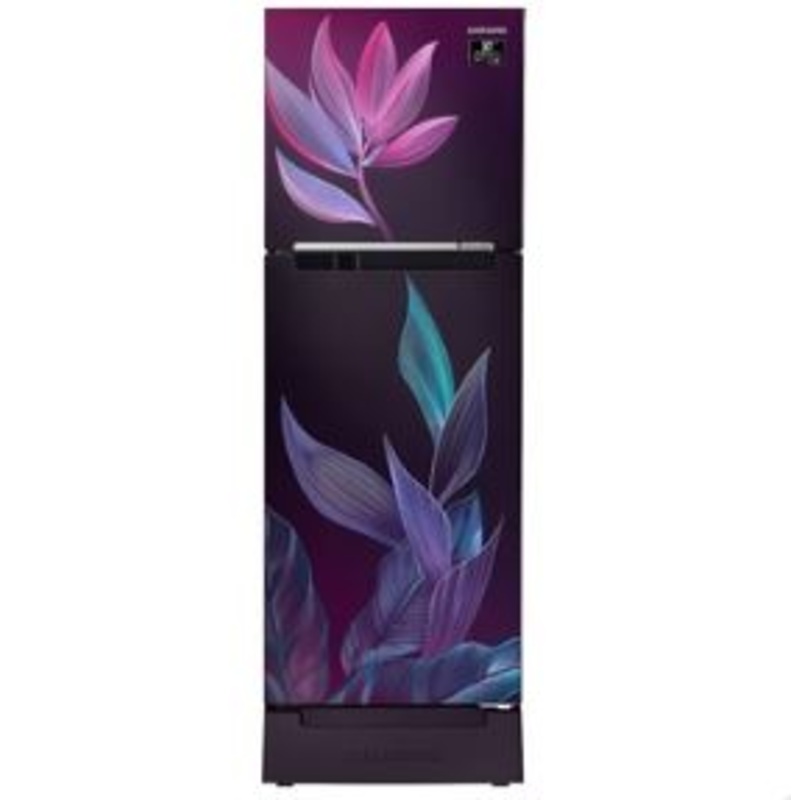 Samsung RT28C31429R/HL 236L 2 Star Inverter Frost-Free Double Door Refrigerator (Paradise Bloom Purple) Base Stand Drawer
