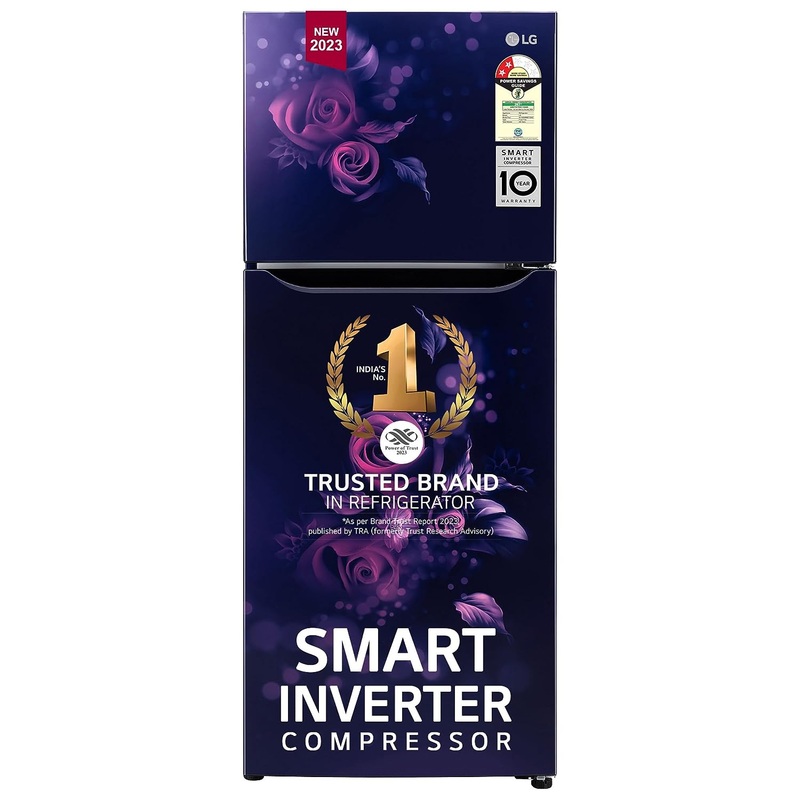 LG GL-N292BBEY 242 L 2 Star Smart Inverter Frost-Free Double Door Refrigerator ( Blue Euphoria, Smart Connect)